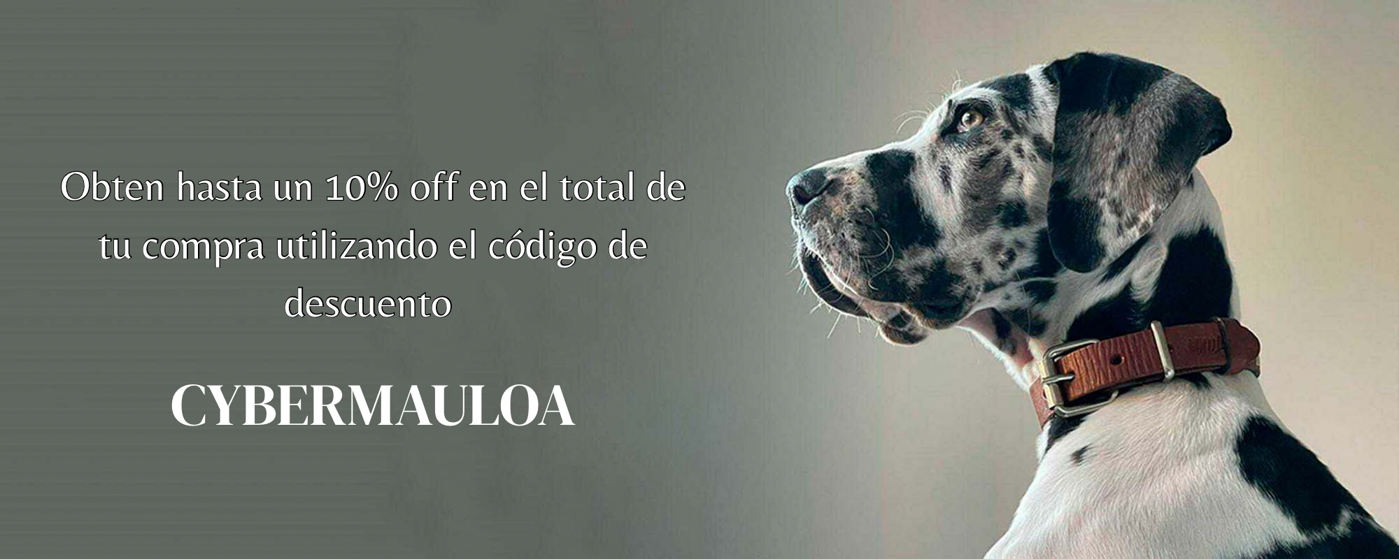 Mauloa