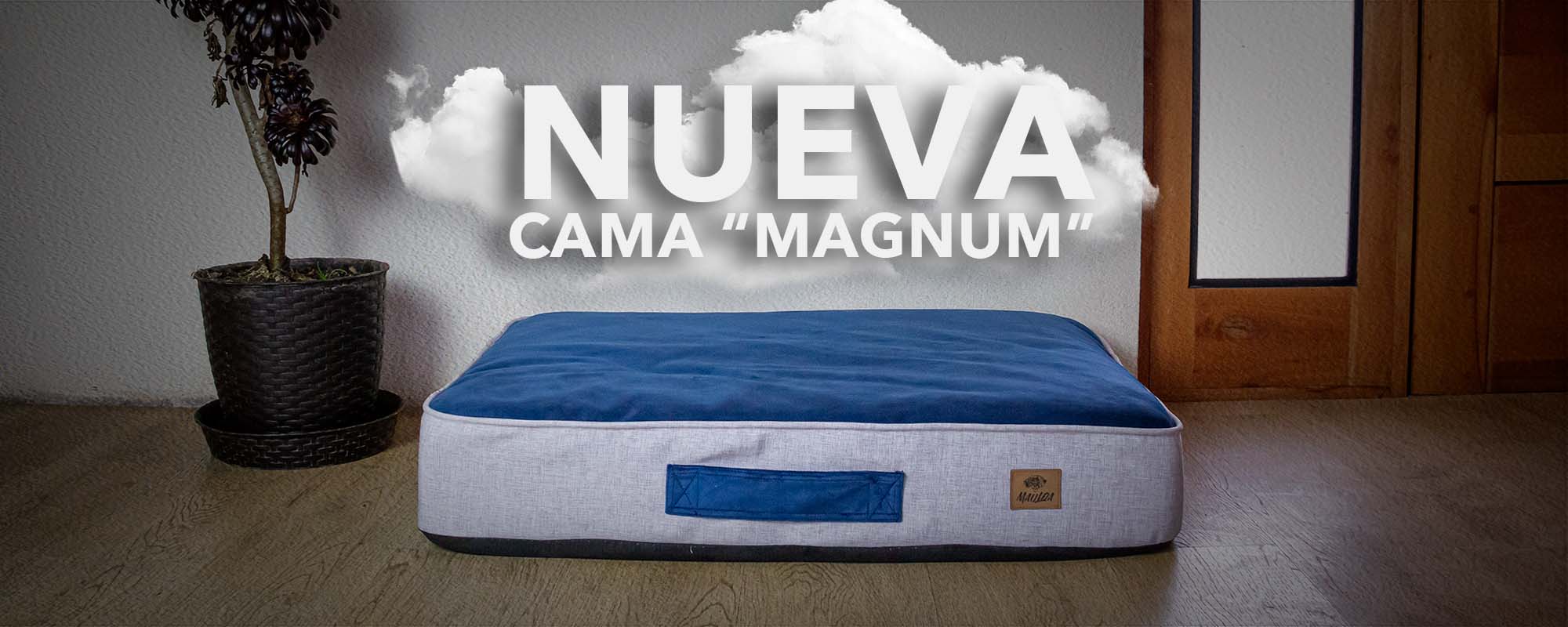 Mauloa