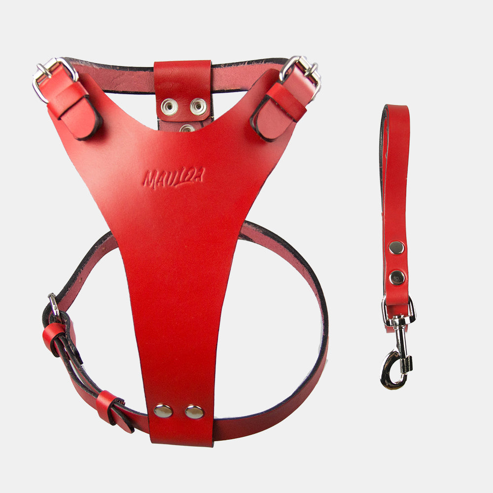 Arnés para perro, hecho en cuero y muy resistente para perros de raza pequeña.