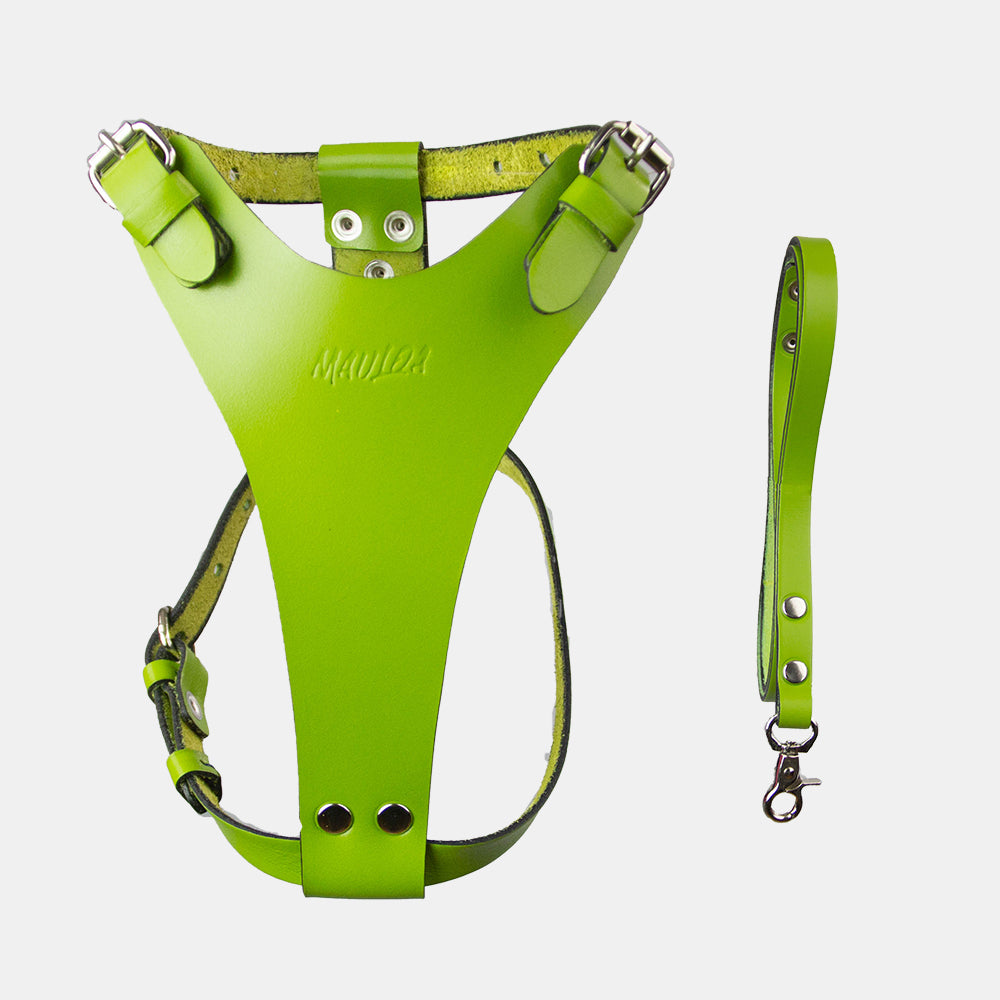 Arnés para perro, hecho en cuero y muy resistente para perros de raza pequeña.