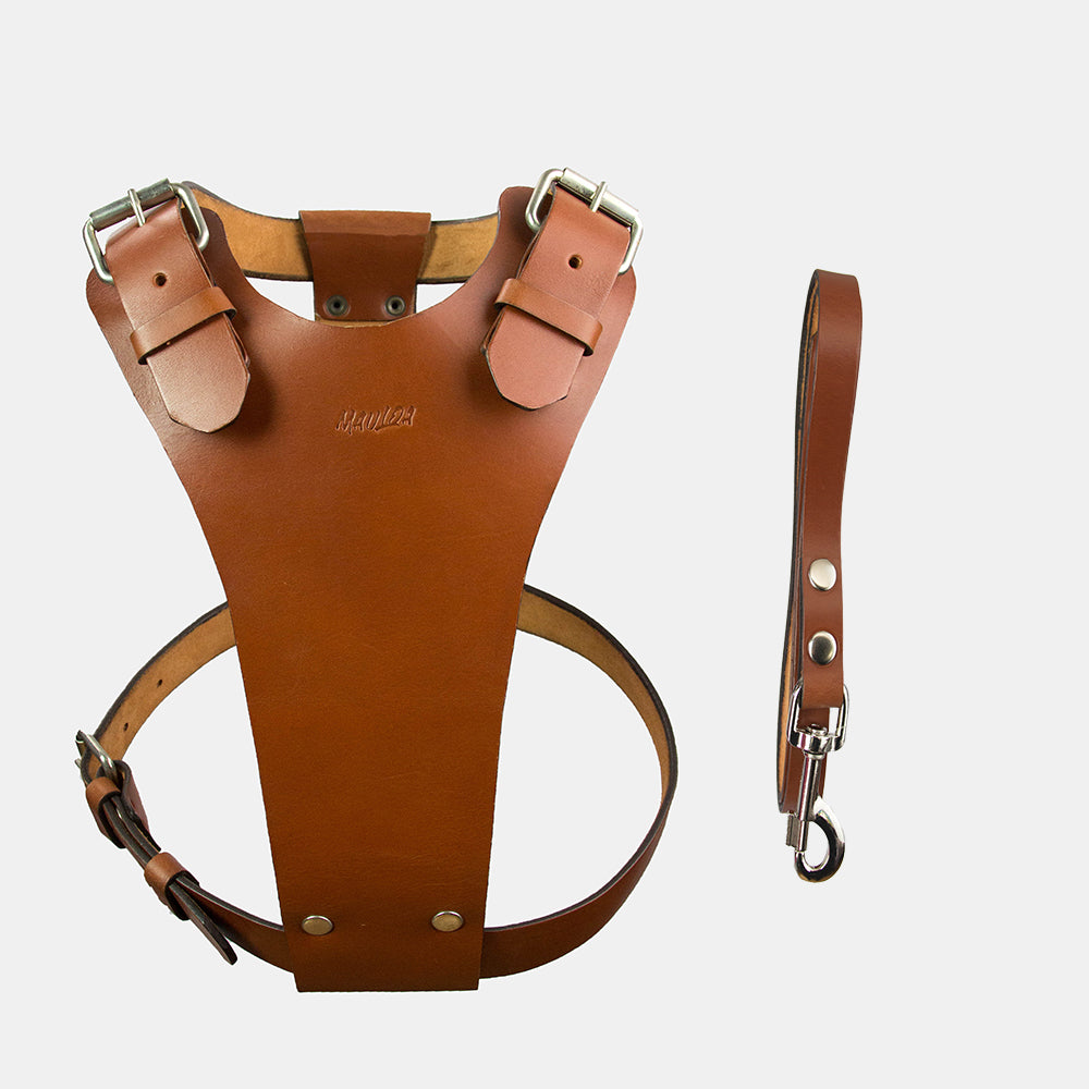 Arnés para perro color  Whisky, de cuero y muy resistente, hecho especialmente para perros de raza grande.